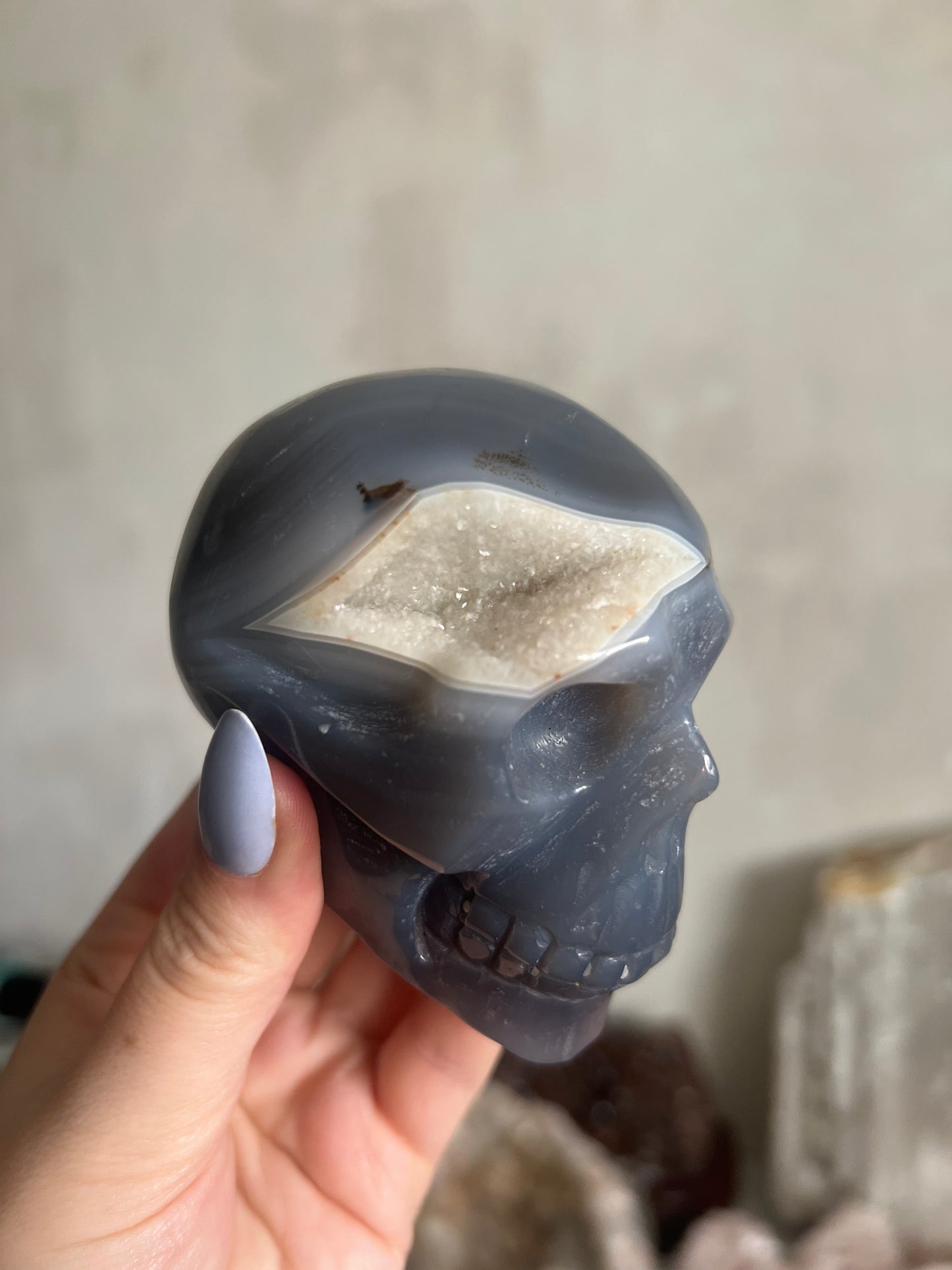 Druzy Agate Skull