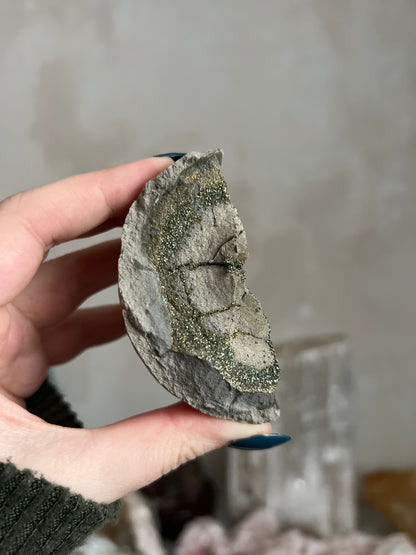 Pyrite Nodule