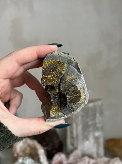 Pyrite Nodule