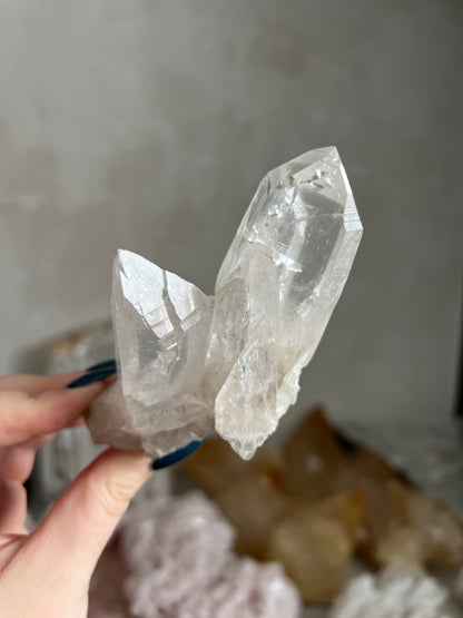 Lemurian Quartz Cluster