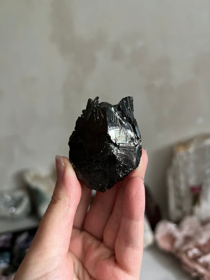 Noble Shungite