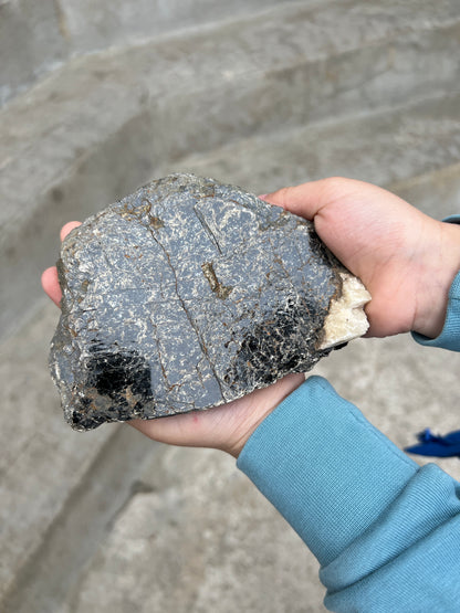Biotite Mica