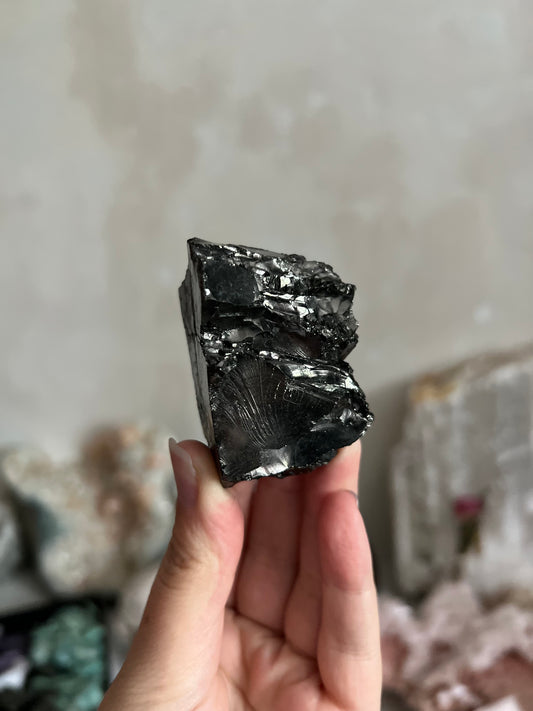 Noble Shungite