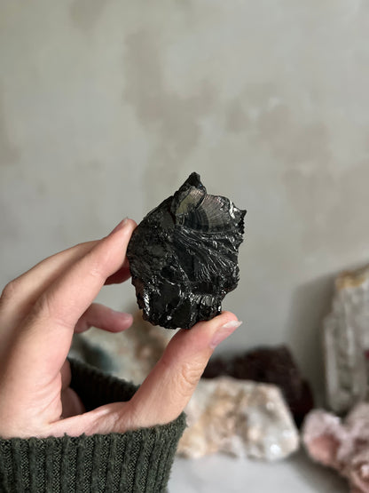 Noble Shungite